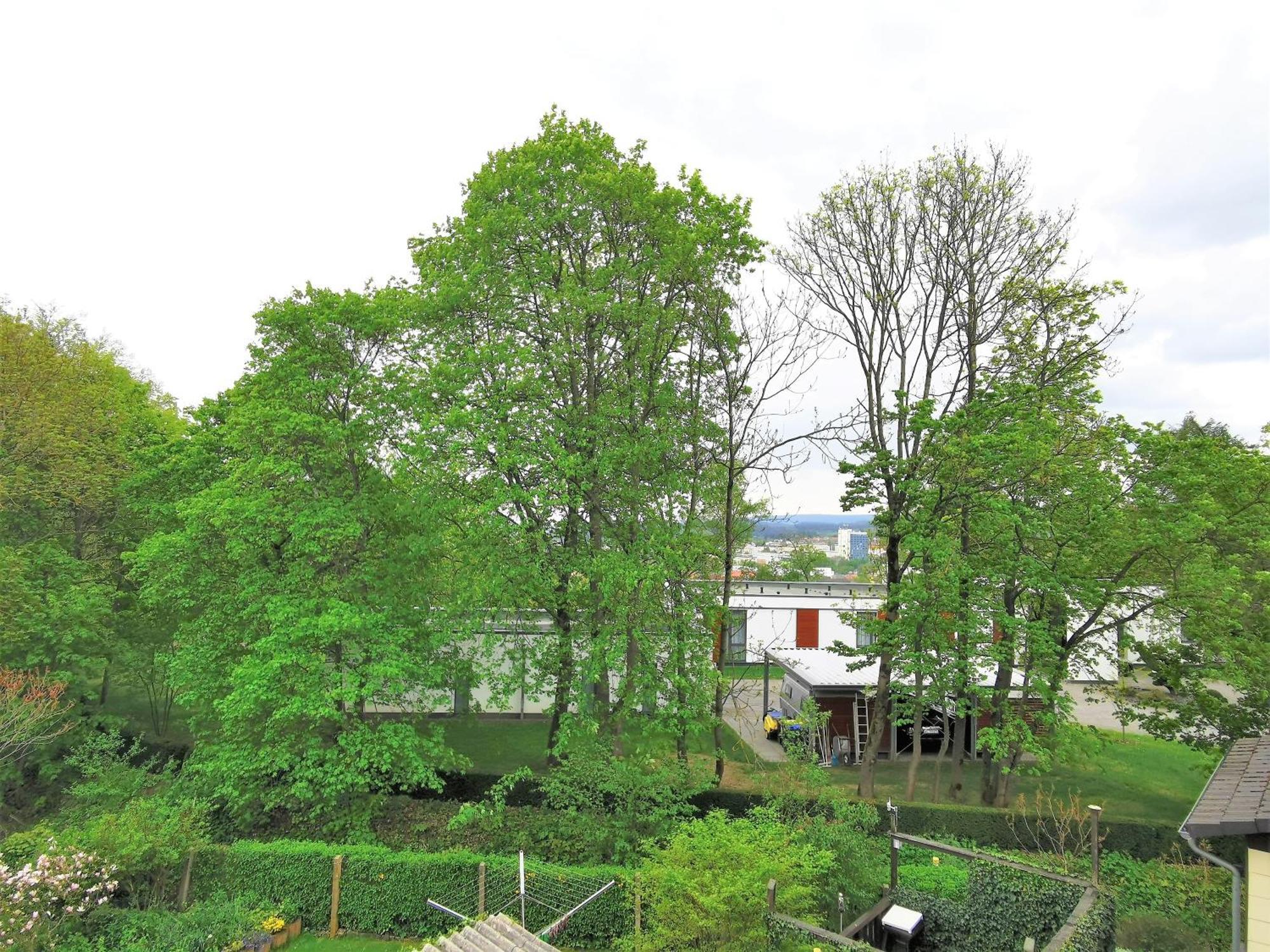 Bohnapartments - Stadtblick Zechenhaus - Balkon - Gratis Parkplatz - Wlan - Sehr Ruhig - Barrierearm Ilmenau Exterior photo
