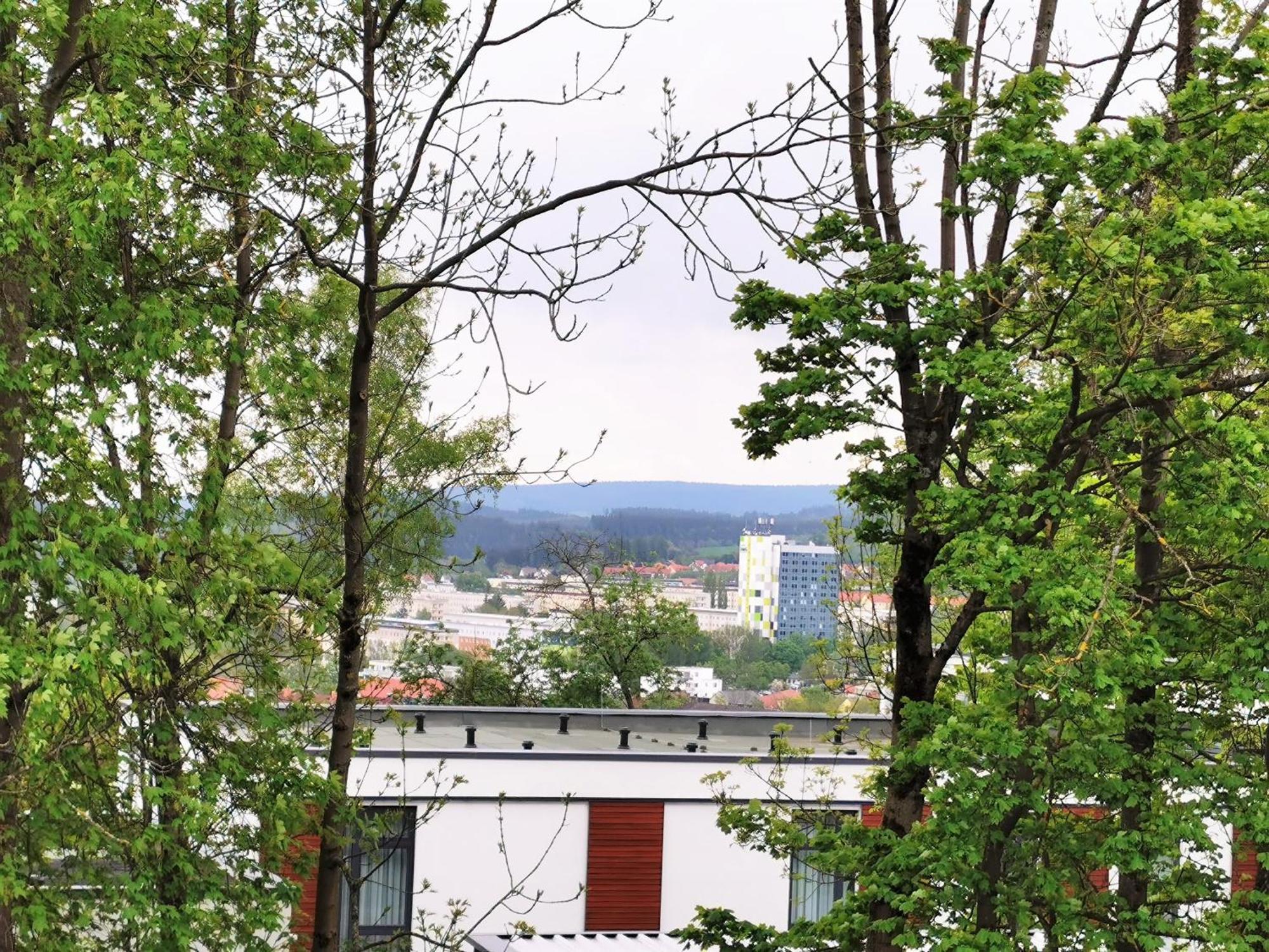 Bohnapartments - Stadtblick Zechenhaus - Balkon - Gratis Parkplatz - Wlan - Sehr Ruhig - Barrierearm Ilmenau Exterior photo